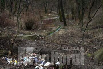 Șipote, pata neagră de pe obrazul unui oraș întreg, fie că vorbim de autorități sau de oameni de rând.