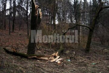 Anul de grație 2009: Șipote, dezastrul ecologic de sub nasul nostru