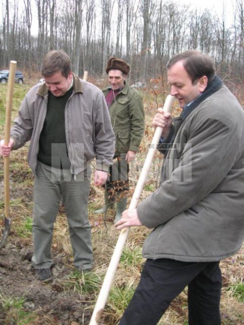 Gheorghe Flutur (dreapta) și Sorin Ciobanu (stânga), lucrând împreună la plantarea arborilor