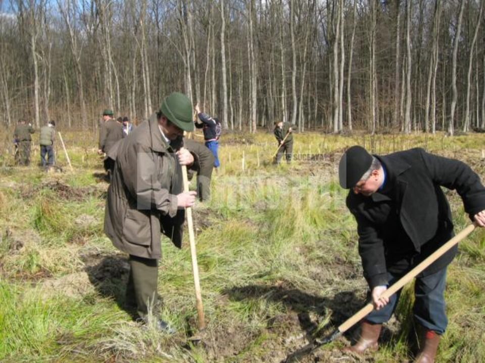 Ion Lungu, prezent la campania de impadurire