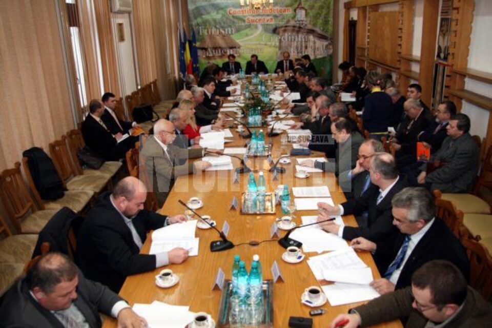 Avem buget: Bugetul județului pe 2009, aprobat în unanimitate