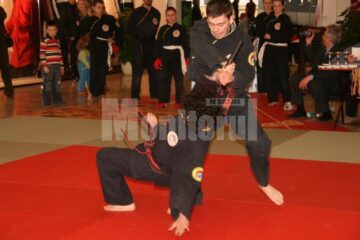 Spectacol: Iulius Mall a fost pentru o zi casa artelor marțiale sucevene