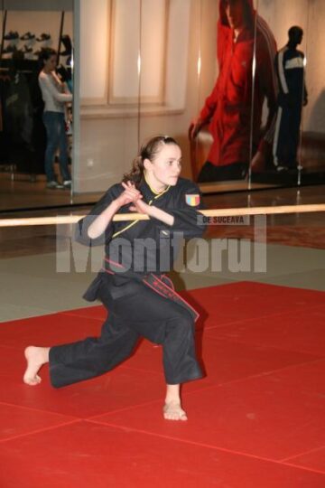 Spectacol: Iulius Mall a fost pentru o zi casa artelor marțiale sucevene