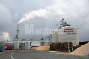Compania Egger intenționează să completeze investiția de la Rădăuți cu o fabrică de biomasă și o instalație de adezivi