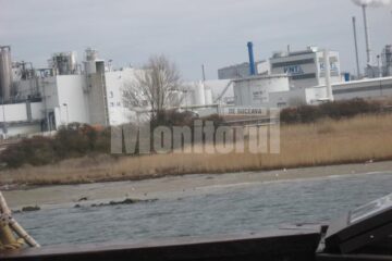 Fabrica Egger și zona maritimă protejată, cu păsări ocrotite