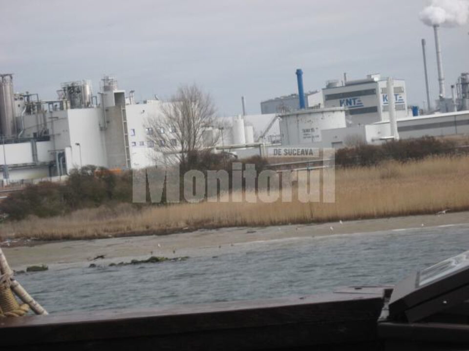 Fabrica Egger și zona maritimă protejată, cu păsări ocrotite