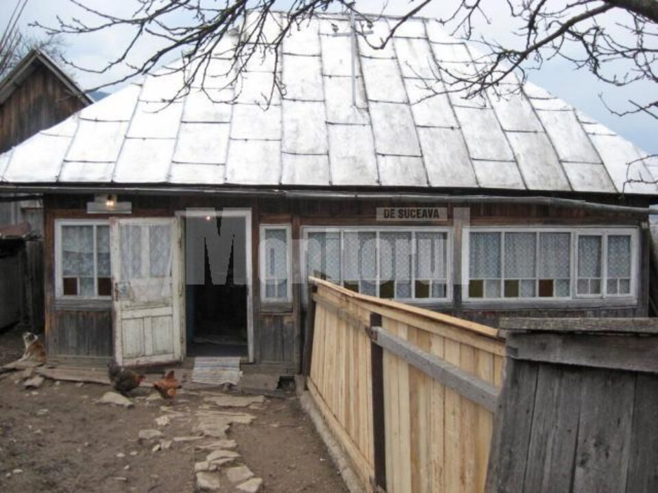 Casa bătrânei de 81 de ani, omorâtă de propriul câine