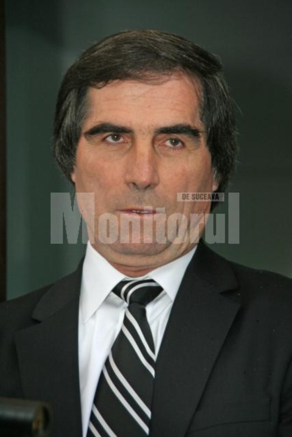 Petrea Dulgheru: „Avem o problemă mare cu câinii agresivi, deoarece nu este clarificat legal modul de ucidere a animalelor în situații deosebite”