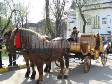 Humorenii, dar și turiștii care vizitează această zonă au posibilitatea de a se plimba cu două trăsuri trase de cai