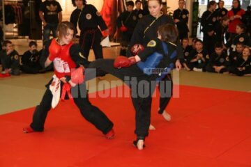 Tinerii practicanți de qwan ki do din Suceava s-au întors cu rezultate foarte bune de la Campionatul Național