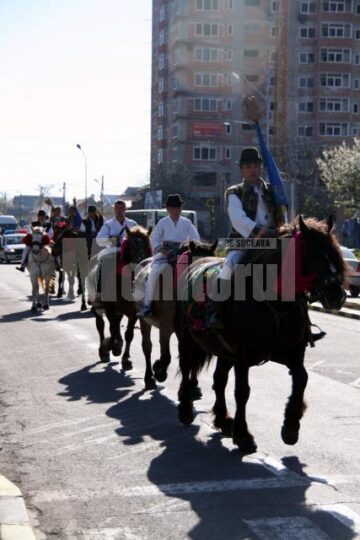 Expoziție: Steagul de luptă al lui Ștefan cel Mare a ajuns la Suceava