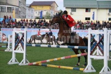 Magia muzicii: Peste 12.000 de spectatori la concertul lui Richard Clayderman