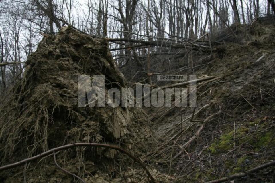 Alunecări de teren în Parcul Șipote