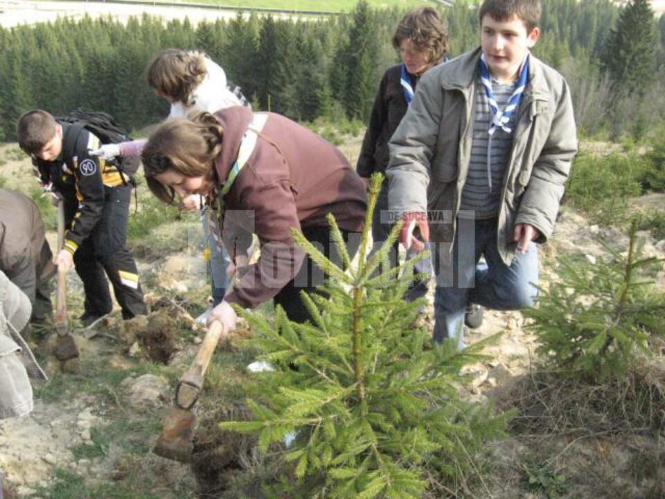 Acțiunea cercetașilor a fost organizată pentru a celebra “Ziua Pământului”