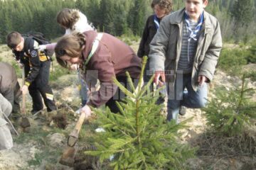 Acțiunea cercetașilor a fost organizată pentru a celebra “Ziua Pământului”