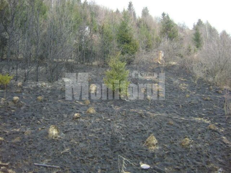 Fenomen: Pericol de dezastre, din cauza zecilor de incendieri de terenuri agricole Fenomen: Pericol de dezastre, din cauza zecilor de incendieri de terenuri agricole