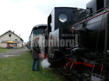 Intrebari despre locomotiva Krauss