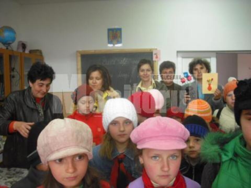 Învățământ: „Să ne cunoaștem județul”, parteneriat educațional între școli sucevene