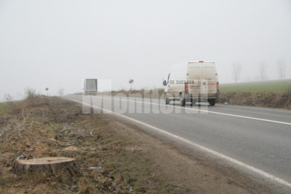 Abordare greșită: Arborii de pe marginea șoselelor, tăiați si incendiați