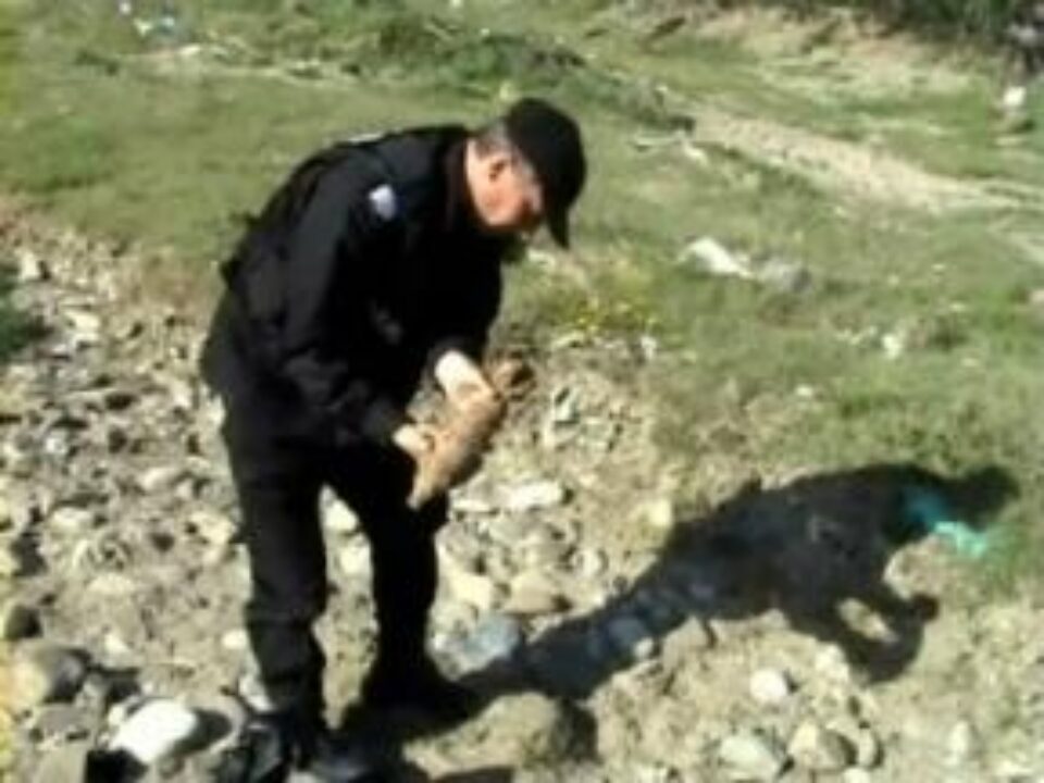 Echipa pirotehnică a identificat și ridicat o bombă explozivă de aruncător calibrul 82 milimetri