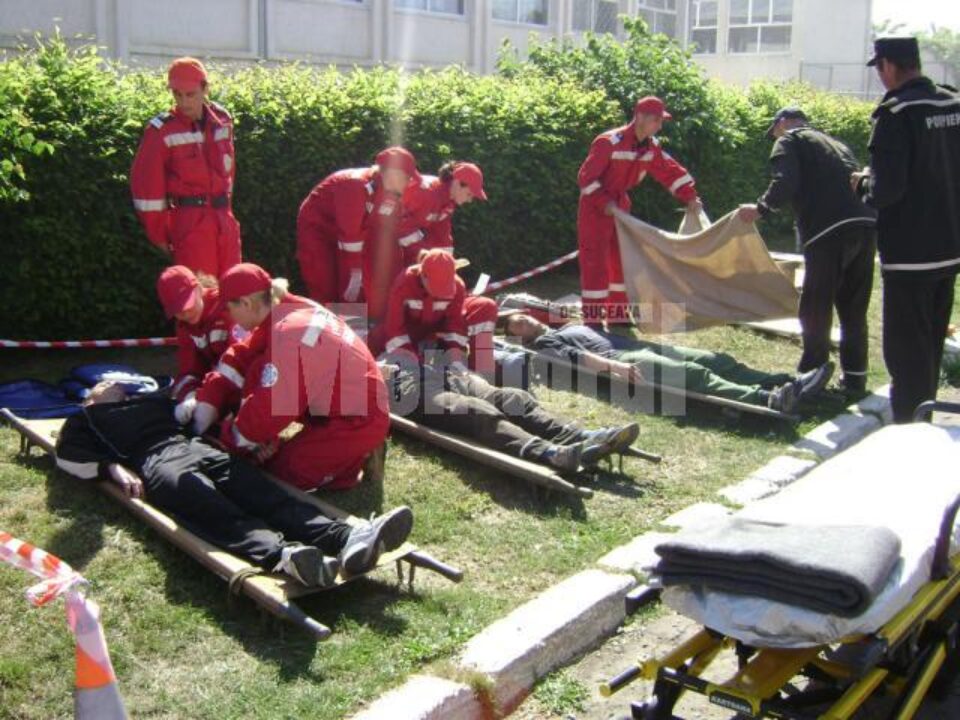 Exerciții demonstrative