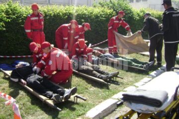 Exerciții demonstrative