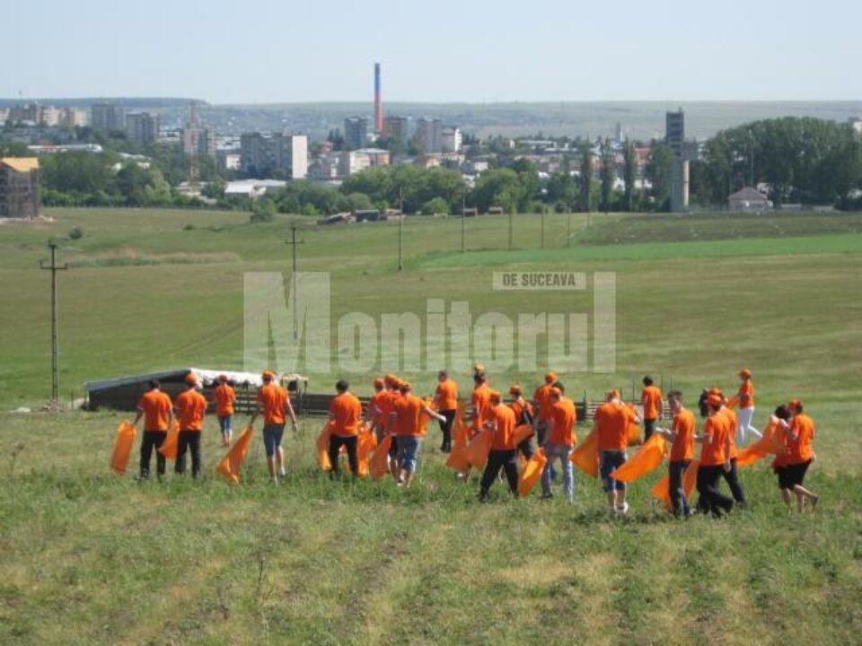 Membri ai Organizației Municipale Suceava a Tinerilor PD-L au participat, ieri, la o acțiune de ecologizare