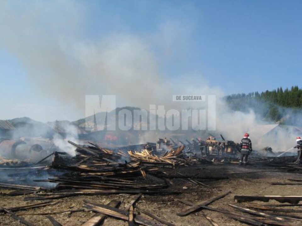 Flăcările au cuprins întreaga hală extrem de rapid, înainte ca cineva să poată interveni