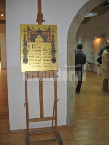 Lucrare prezentată în expoziția „Absolvent 2009”