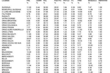 Rezultatele complete ale alegerilor europarlamentare în județul Suceava