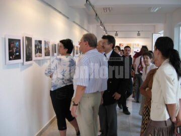 Vizionarea expoziției