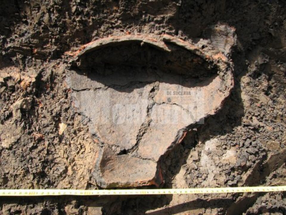 Descoperiri arheologice: Amplasamentul unor vechi sate medievale, la Forăști și Dornești