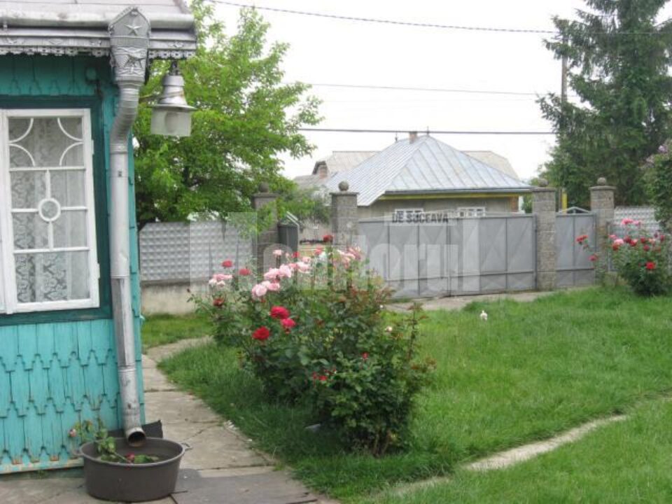 Curtea gospodăriei din Grănicești, cu trandafirii plantați de tânărul Gavril Moroșanu