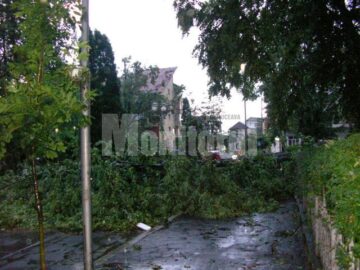 Apocalipsă: Prăpăd la Rădăuți, după o furtună de 40 de minute