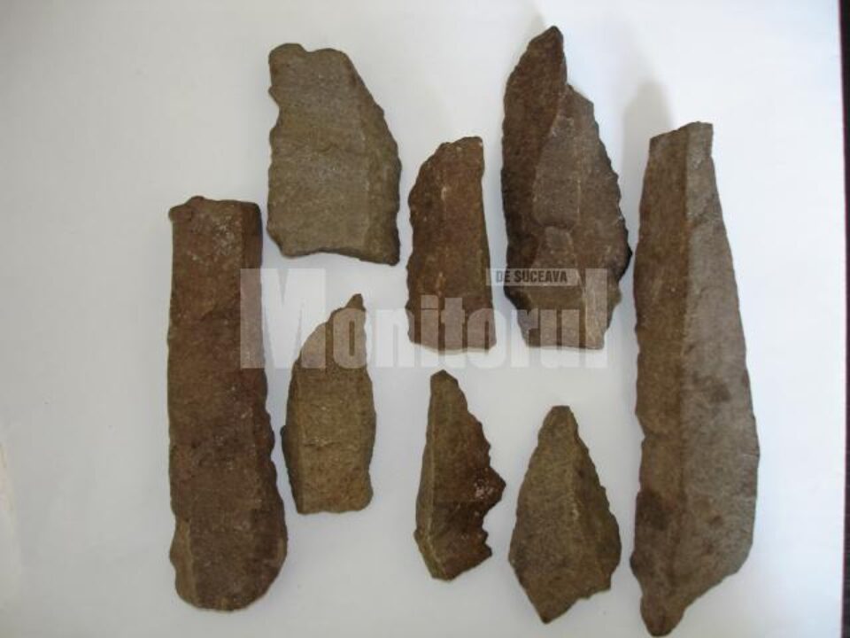Descoperire: Sit arheologic vechi de circa 20.000 de ani, la Câmpulung