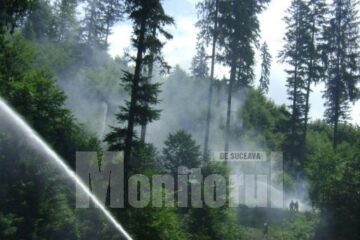 Exercițiu tactic: Pompieri și silvicultori, testați în simularea unui incendiu la pădure