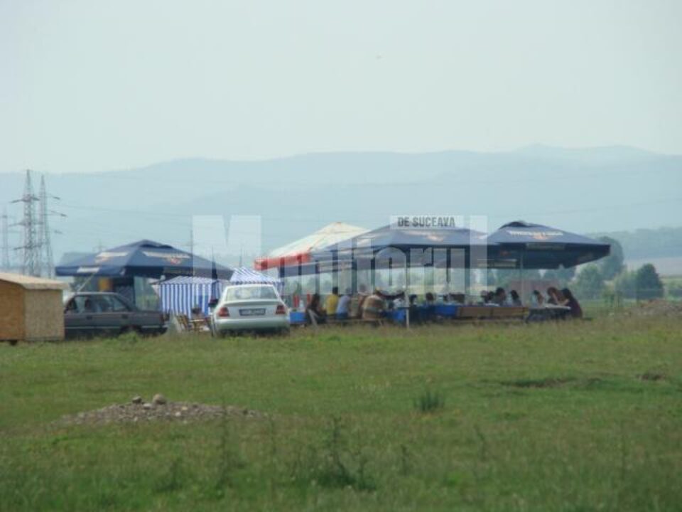 Muncă și nu prea: Olărean a petrecut cu lăutari în timpul programului