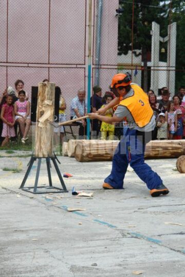 Nord Club Arena: Concurs de tăiat și sculptat lemne la Zilele Putnei