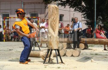 Sculpturile în lemn au fost o adevărată probă de măiestrie