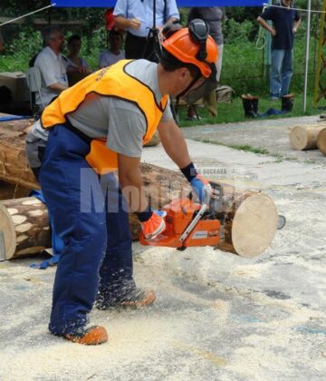 Nord Club Arena: Concurs de tăiat și sculptat lemne la Zilele Putnei