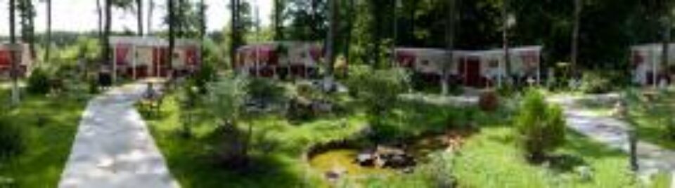 La Cabana Căprioara sunt așteptați toți cei care vor să se „rupă” de oraș și să petreacă în mijlocul naturii