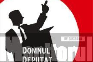 Volumul „Domnul deputat se prăbușește”