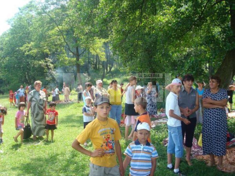 Peste 70 de copii au fost scoși la iarbă verde de mamele „adoptive”