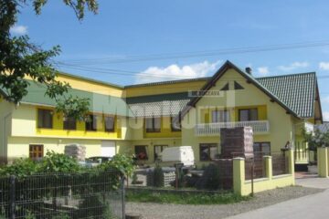 Impunatorul imobil al lui Gheorghe Breaban, care este și sediul al firmei sale