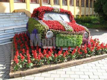 TRABANT-ul înflorit