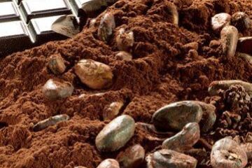 Boabele de cacao pot reduce hipertensiunea arterială. Foto: CORBIS