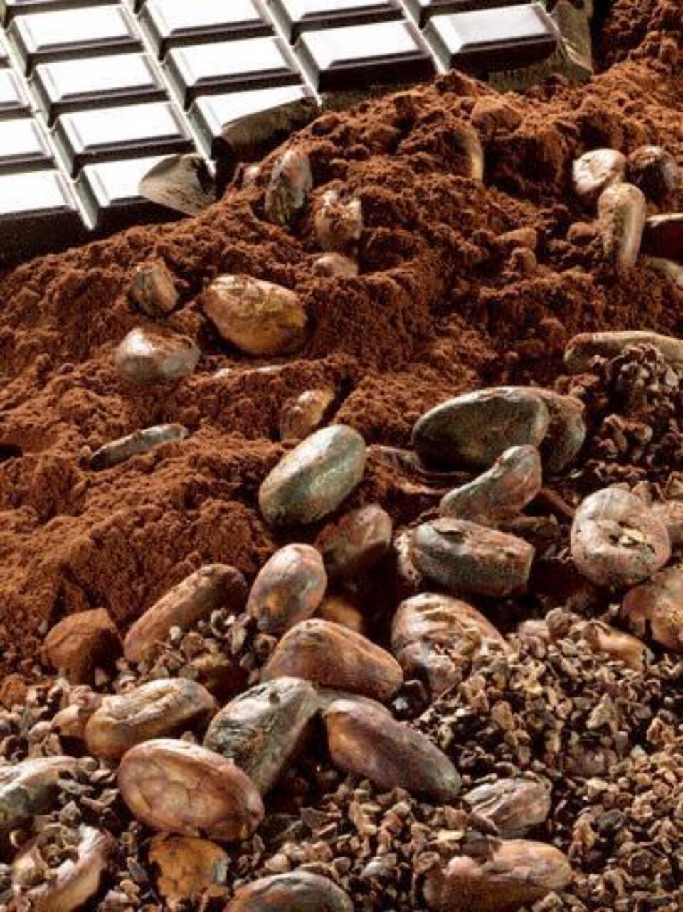 Boabele de cacao pot reduce hipertensiunea arterială. Foto: CORBIS