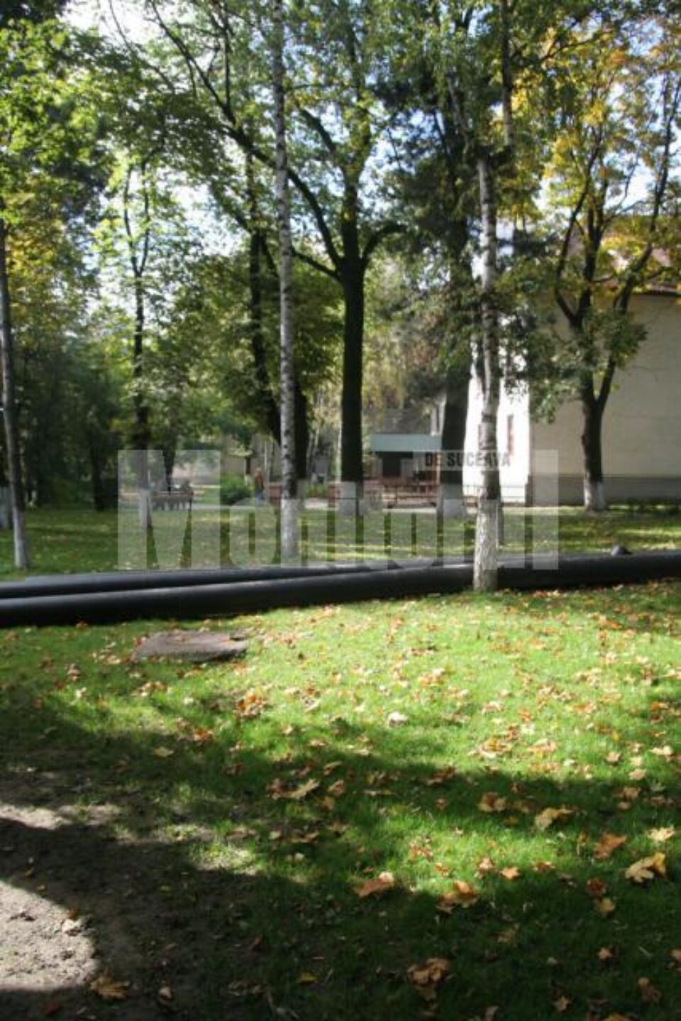 Venituri: CJ scoate la licitație terasa din Parcul Central al municipiului Suceava