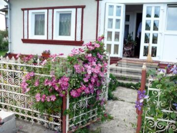Sărbătoare la Poiana Stampei