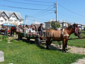La Poiana Stampei: Festivalul Național „Flori de pe Dorna”